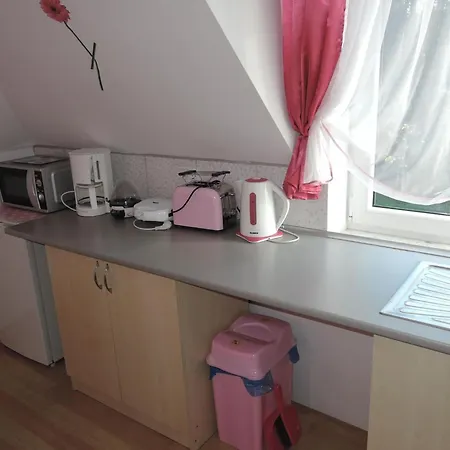 Am Fuer 4 Personen, Apartment Dziwnowek