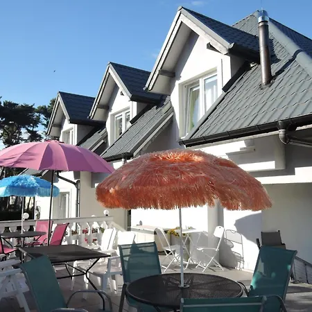 In Near Clean ジブヌベク